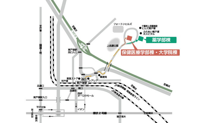東戸塚キャンパス 薬学部棟地図